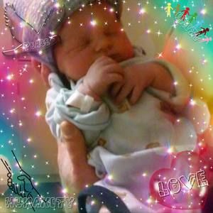 Meet your Posher, Annalisa